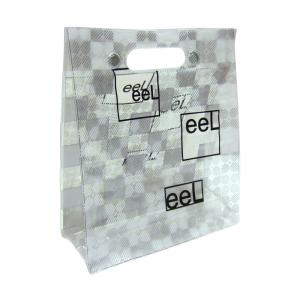 PVC bag with plastic mirror on back side
